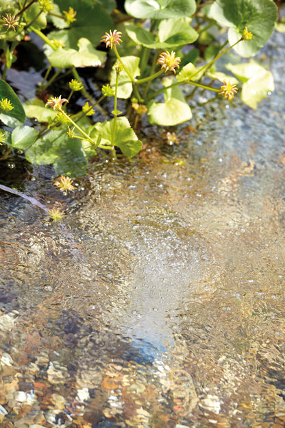 OASE AquaOxy 1000 Teichbelüfter – Sauerstoffversorgung