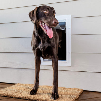 PetSafe Haustiertür Teleskop-Tunnel für Hunde Katzen – Weiss, Gross