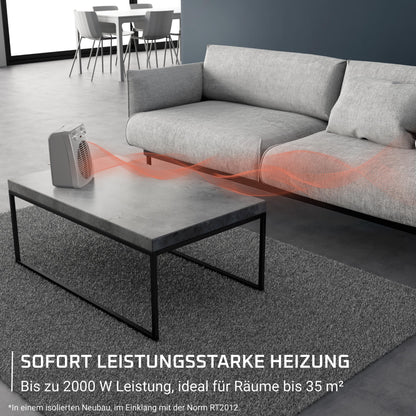 Rowenta Compact Power Heizlüfter SO2212F0 mit Thermostat, Grau