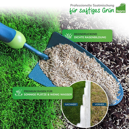 Rasensamen Trockenresistent & Schatten – 20 kg schnellkeimend