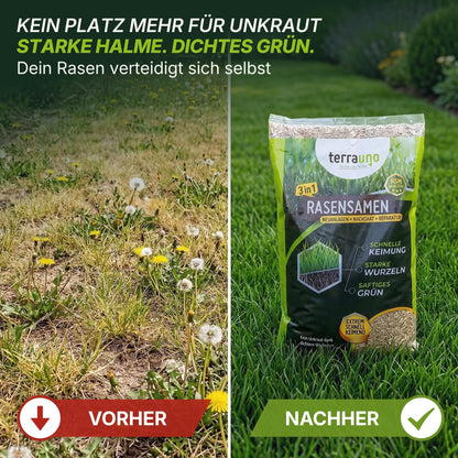 TerraUno Rasensamen schnellkeimend RSM, 10 kg für 200 m²