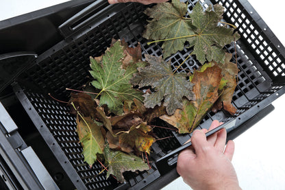OASE BioSys Skimmer plus Einbau-Oberflächenabsauger – 50m² Grau