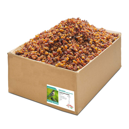 Paul's Mühle Rosinen Wildvogelfutter ungeschwefelt 12,5 kg, goldgelbe rieselfähige Beeren