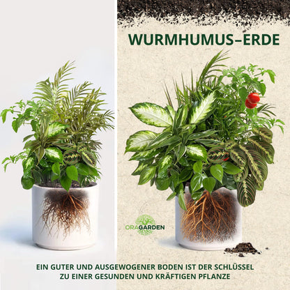 ORAGARDEN Wurmhumus mit Perlite für lockeren Boden – Pflanzenerde 24L