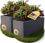 Ondis24 Vulkan Pflanzkübel rechteckig Wasserspeicher - 2er Anthrazit