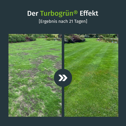 Turbogrün Turbo Rasensamen Nachsaat schnellkeimend - 250m²