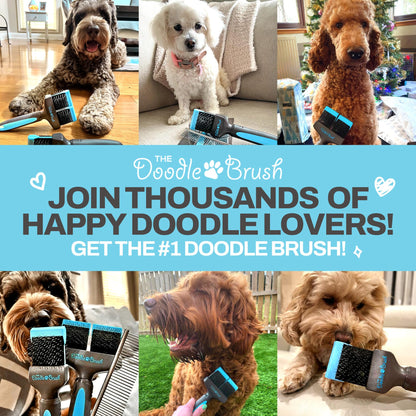 The Doodle Brush Slicker-Hundebürste für Doodle und Langhaar-Hunde