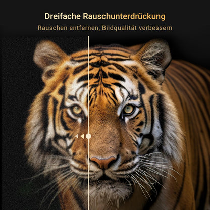 RCA E22 Mini Fernseher - 22 Zoll Full HD Triple Tuner