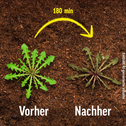 Roundup Unkrautfrei Express Nachfüll-Kanister 5 Liter ohne Glyphosat