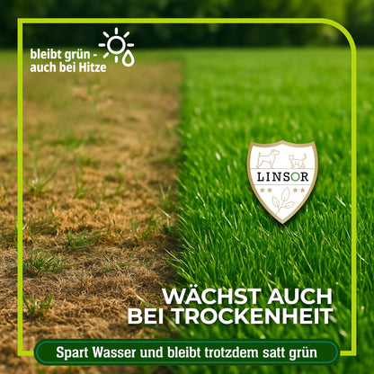 Linsor Zauberrasen Rasensamen schnellkeimend – 10kg / 500m²
