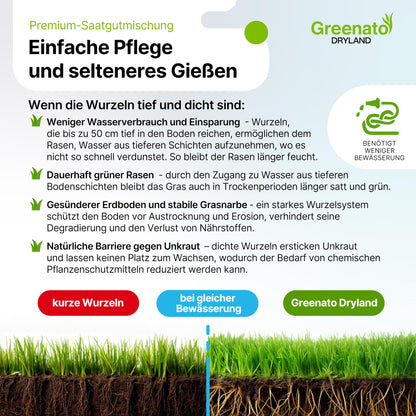 Greenato Dryland trockenresistente Rasensamen - 20kg