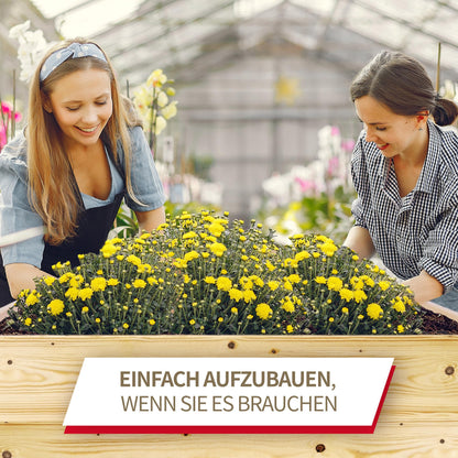 Schroth Home Hochbeet Palettenrahmen 120x80x20cm Fichtenholz 3er-Set