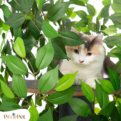 Kratzbaum Natur Patentierter Cat Tree – Gross, Blätter austauschbar