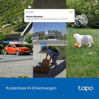 Tapo C560WS 4K 360° WLAN Überwachungskamera Aussen