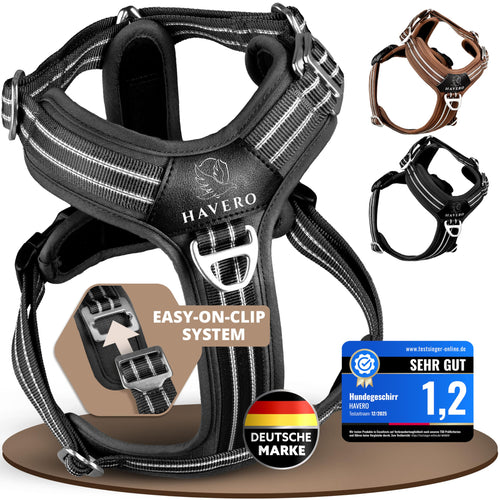 HAVERO Easy-On-Clip Hundegeschirr mit Y-Schnitt, Schwarz, L, gepolstert und reflektierend