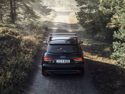 Thule Evo Dachträger Set – Raised Rail Fussatz Schwarz & WingBar 135cm Silber