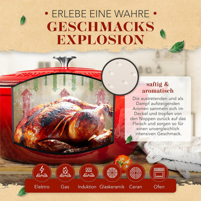 KRUSTENZAUBER Gusseisen Bräter Gänsebräter Oval 10L Induktion