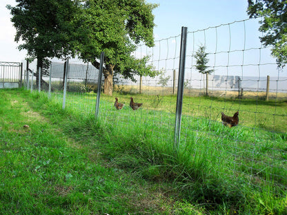 Aquagart Wildzaun 150/12/30 Knotengitter Zaun 50m