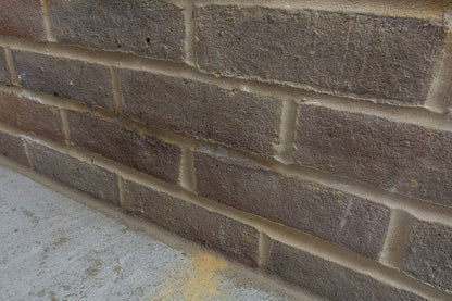 Dryrod Stäbchen gegen Feuchtigkeit – Horizontalsperre 1x50