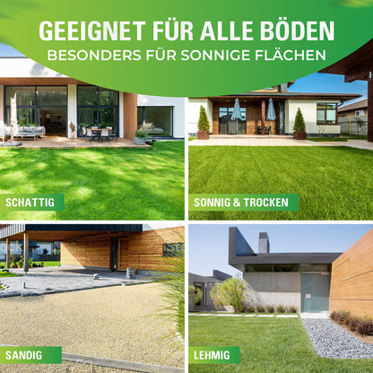 Greenyp Sunny I dürreresistenter Trockenrasen Samen 20kg