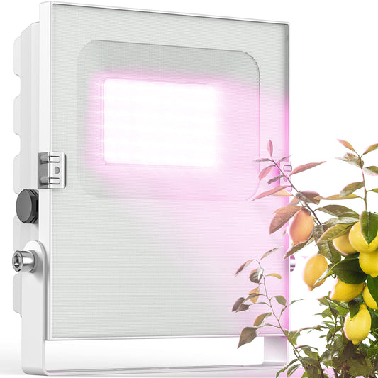 Meine Orangerie LED Pflanzenlampe Vollspektrum 50: Rechteckige LED-Lampe für Vollspektrumlicht. Fördert Pflanzenwachstum bei der Indoor-Zucht.